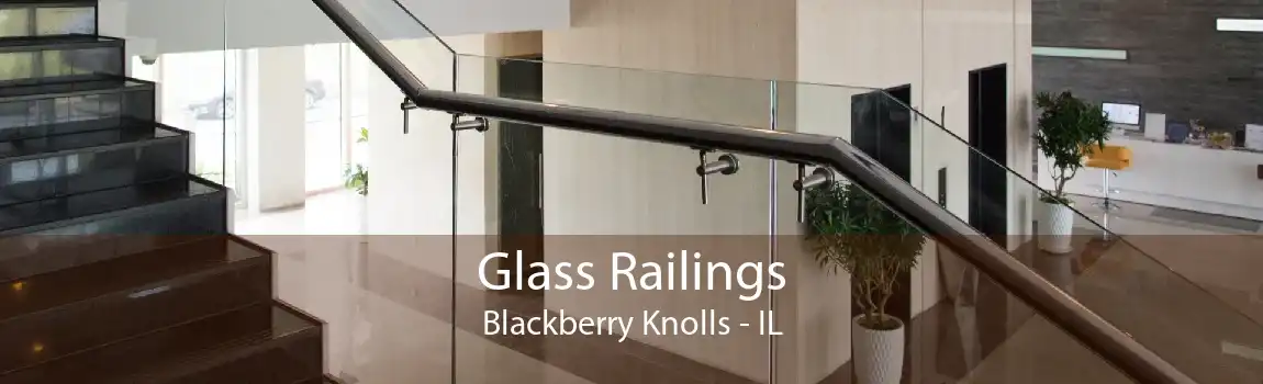 Glass Railings Blackberry Knolls - IL