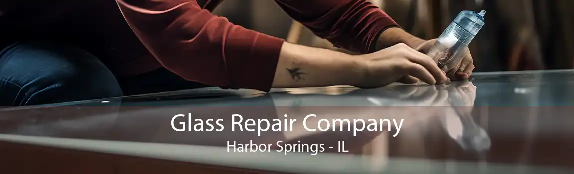 Glass Repair Company Harbor Springs - IL