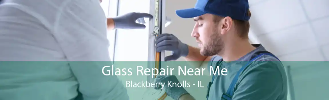 Glass Repair Near Me Blackberry Knolls - IL