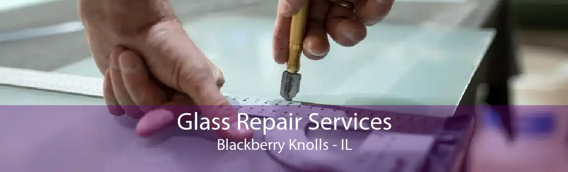 Glass Repair Services Blackberry Knolls - IL