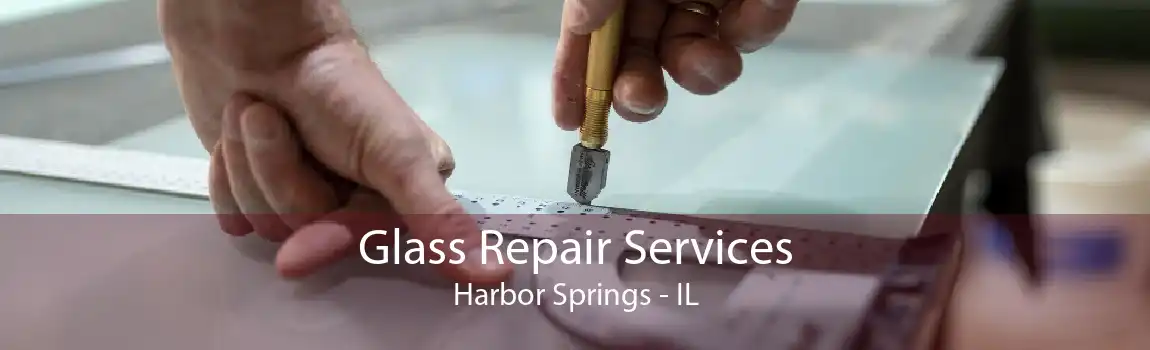 Glass Repair Services Harbor Springs - IL