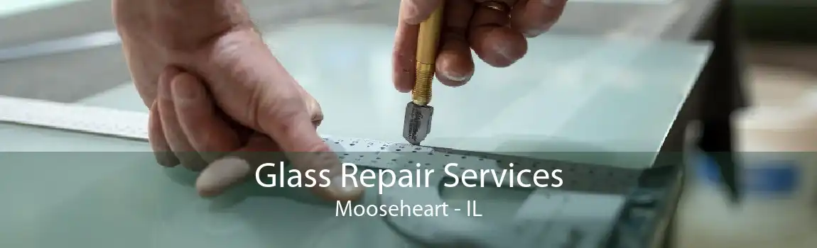 Glass Repair Services Mooseheart - IL