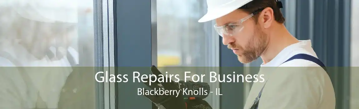 Glass Repairs For Business Blackberry Knolls - IL