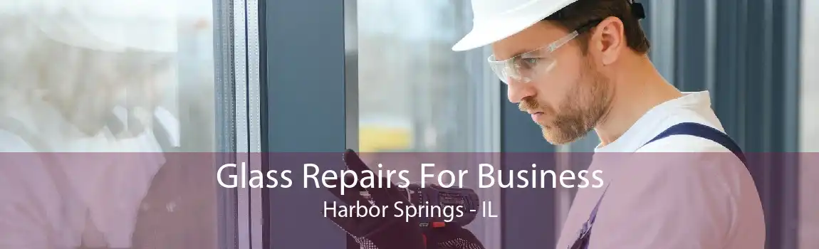 Glass Repairs For Business Harbor Springs - IL