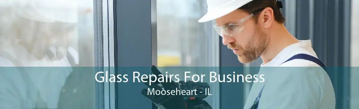 Glass Repairs For Business Mooseheart - IL