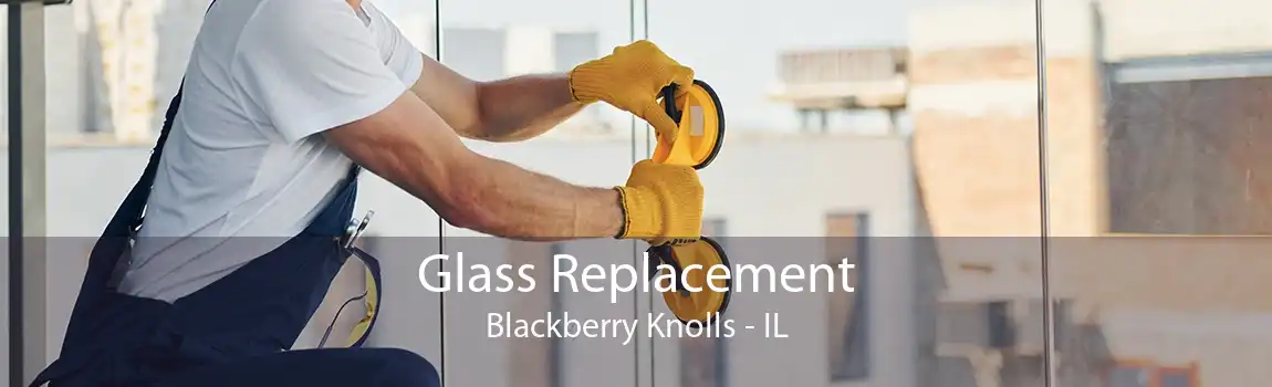 Glass Replacement Blackberry Knolls - IL