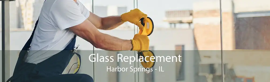 Glass Replacement Harbor Springs - IL