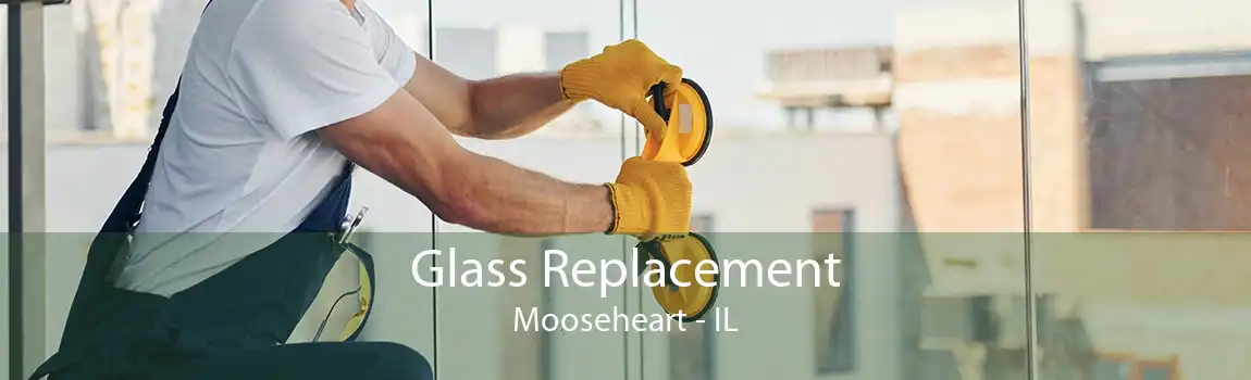 Glass Replacement Mooseheart - IL