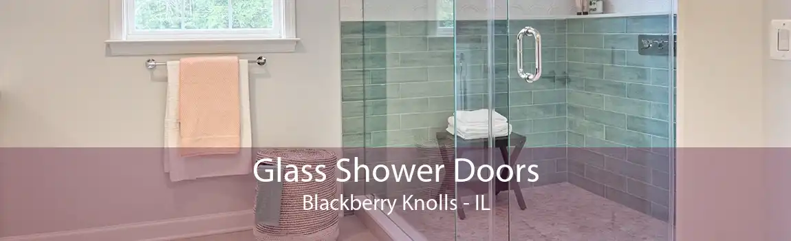 Glass Shower Doors Blackberry Knolls - IL