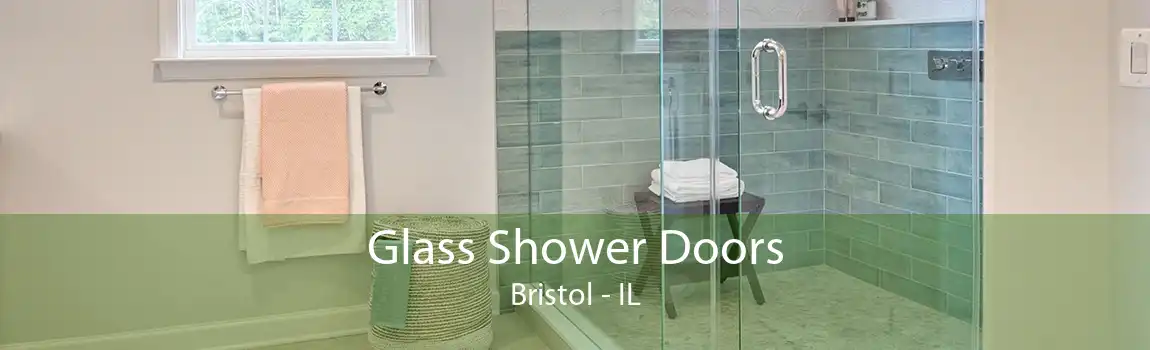 Glass Shower Doors Bristol - IL