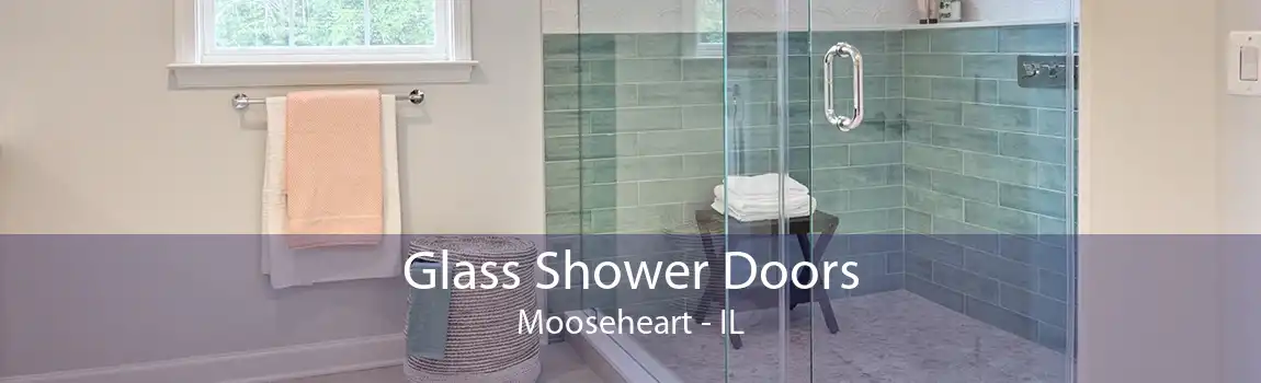 Glass Shower Doors Mooseheart - IL