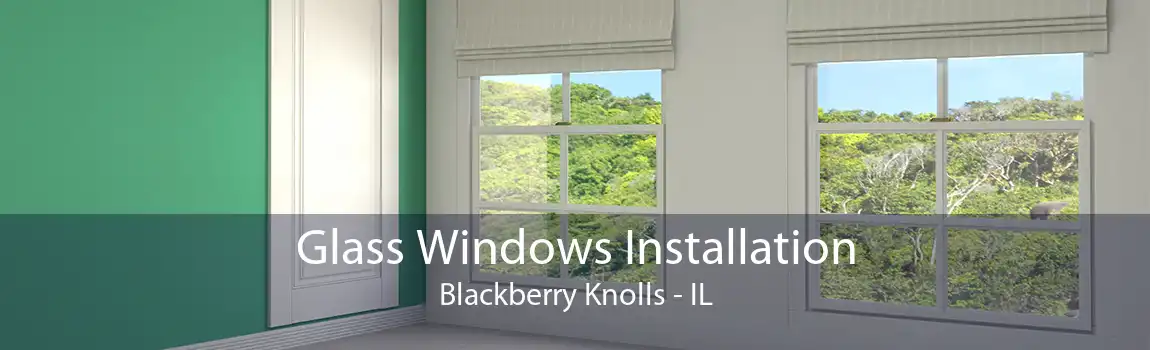 Glass Windows Installation Blackberry Knolls - IL