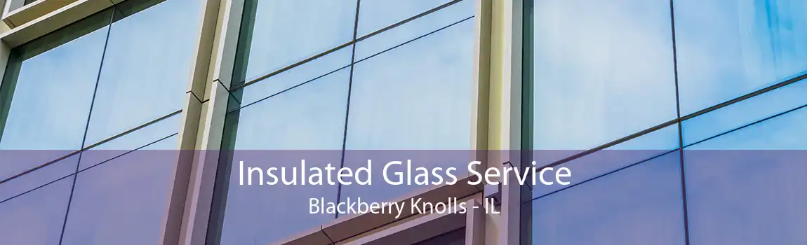 Insulated Glass Service Blackberry Knolls - IL