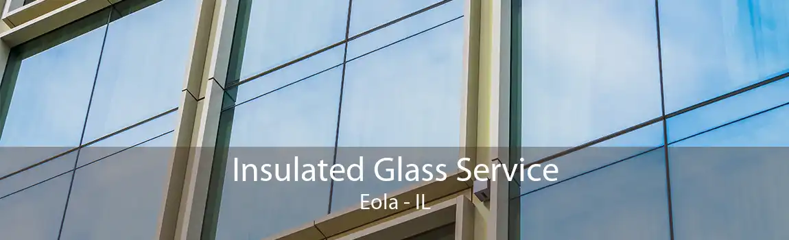 Insulated Glass Service Eola - IL