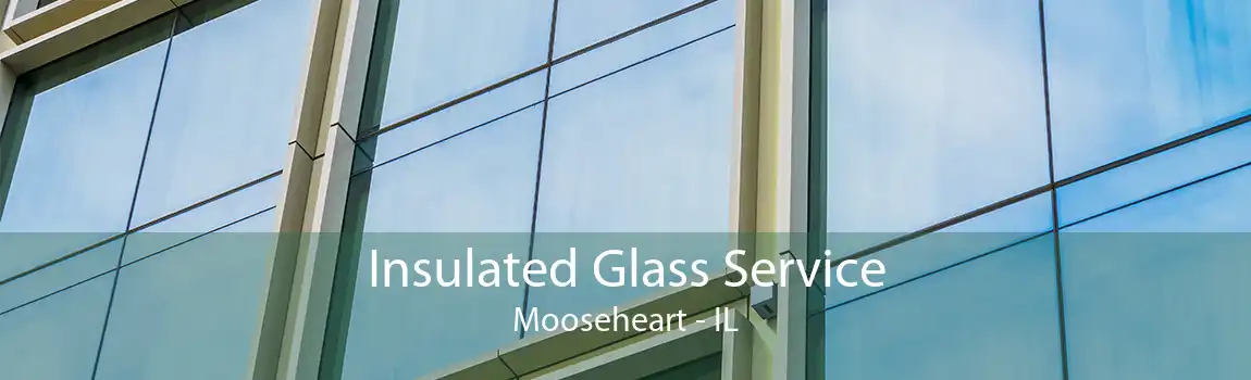 Insulated Glass Service Mooseheart - IL