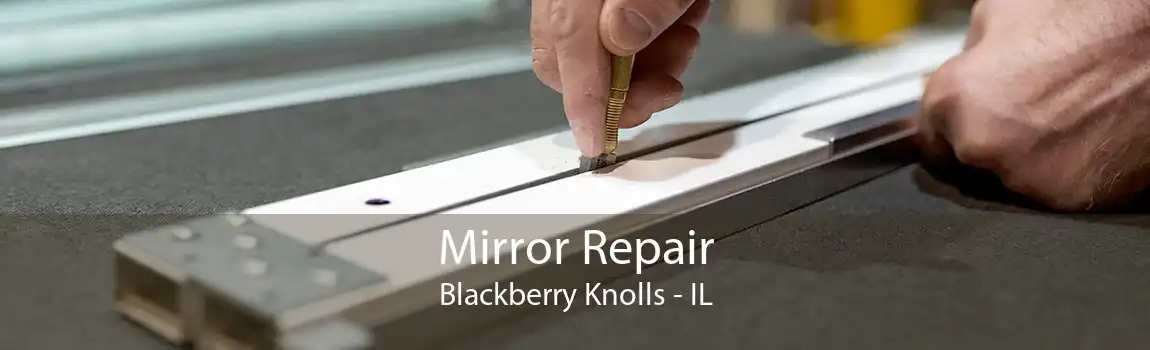 Mirror Repair Blackberry Knolls - IL