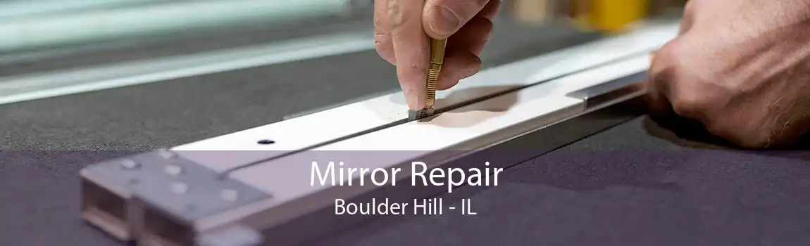 Mirror Repair Boulder Hill - IL