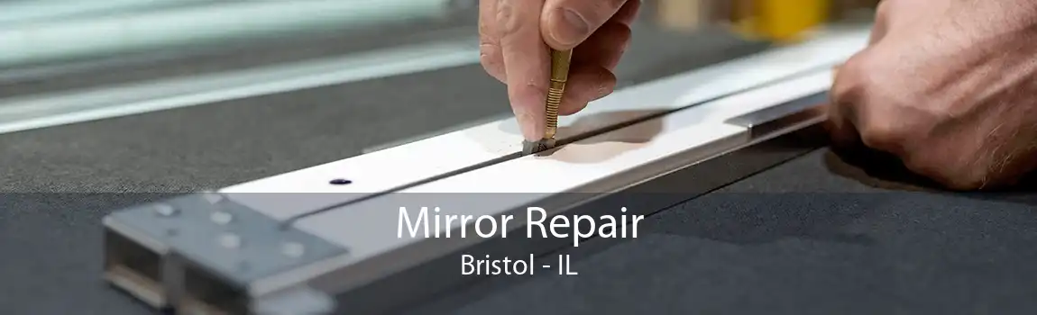 Mirror Repair Bristol - IL