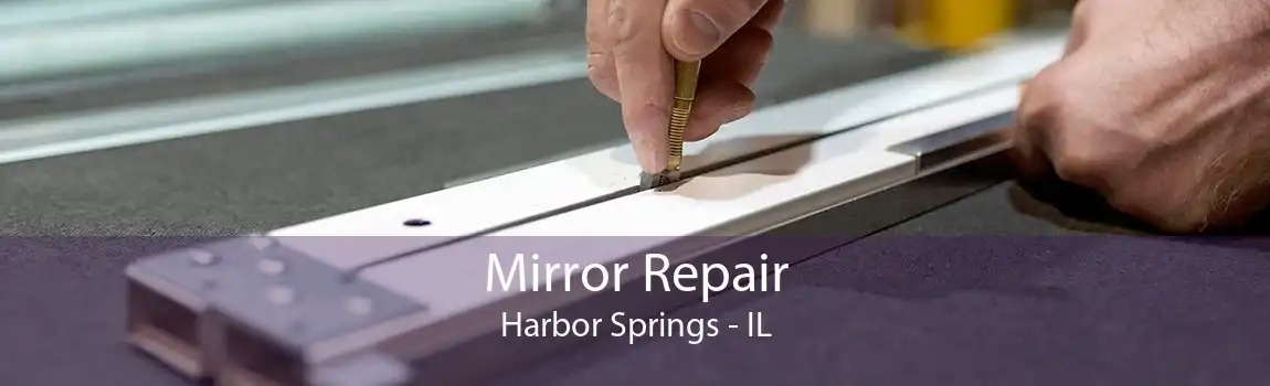 Mirror Repair Harbor Springs - IL