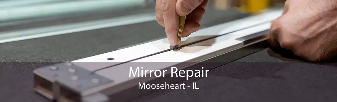 Mirror Repair Mooseheart - IL