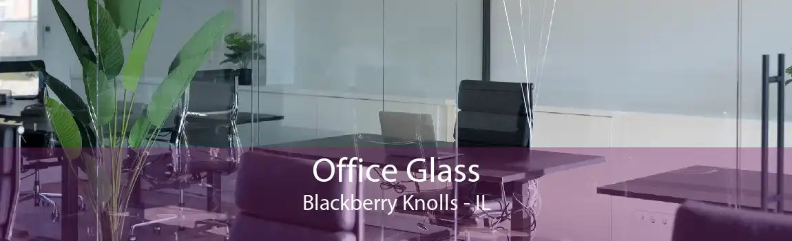 Office Glass Blackberry Knolls - IL