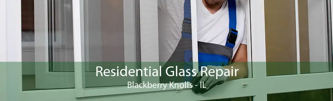 Residential Glass Repair Blackberry Knolls - IL