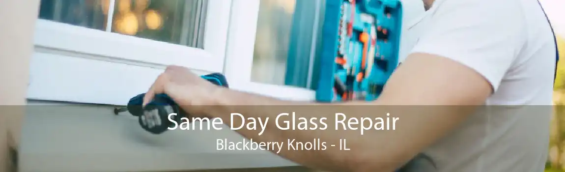 Same Day Glass Repair Blackberry Knolls - IL