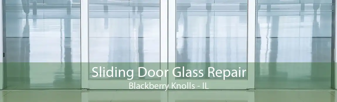 Sliding Door Glass Repair Blackberry Knolls - IL