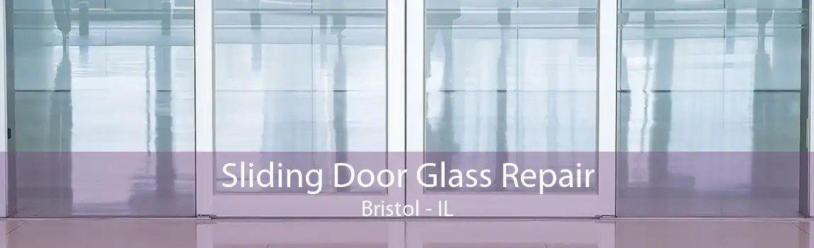 Sliding Door Glass Repair Bristol - IL