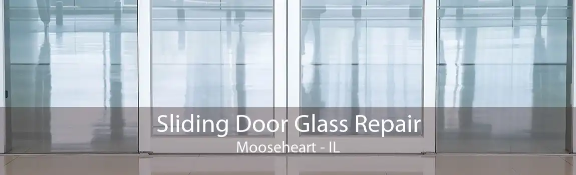 Sliding Door Glass Repair Mooseheart - IL