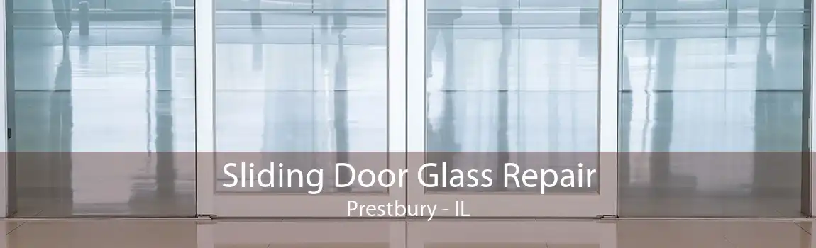 Sliding Door Glass Repair Prestbury - IL