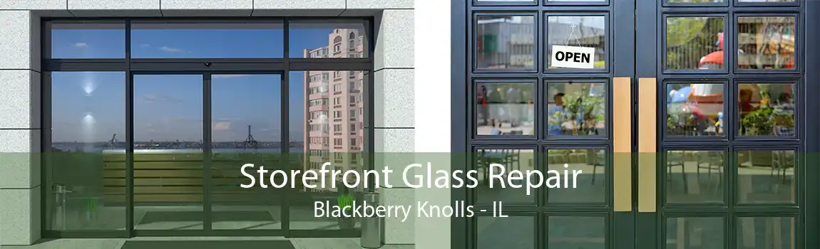 Storefront Glass Repair Blackberry Knolls - IL