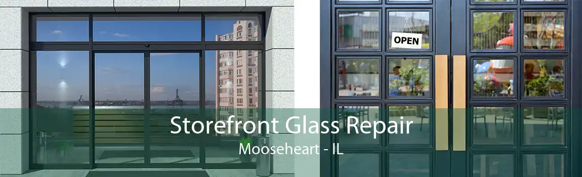 Storefront Glass Repair Mooseheart - IL