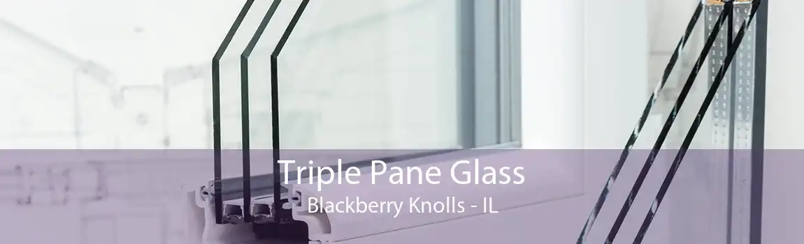 Triple Pane Glass Blackberry Knolls - IL