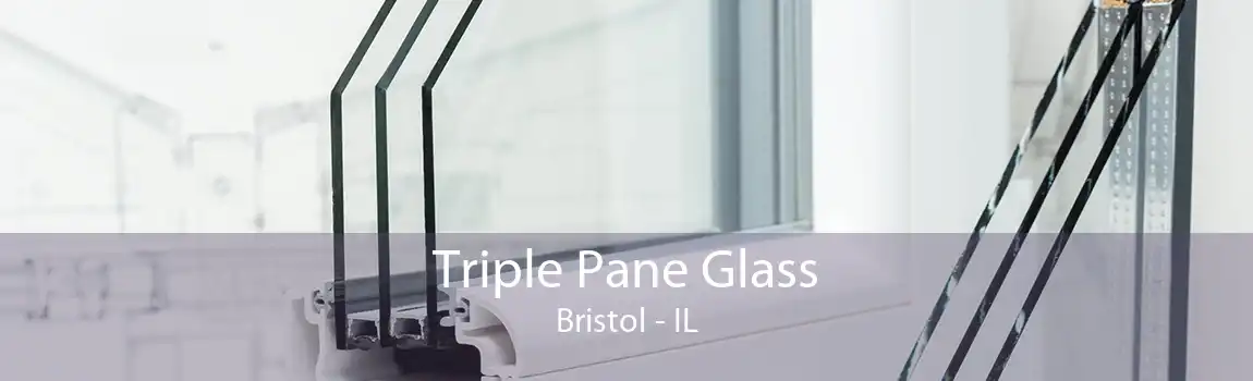 Triple Pane Glass Bristol - IL