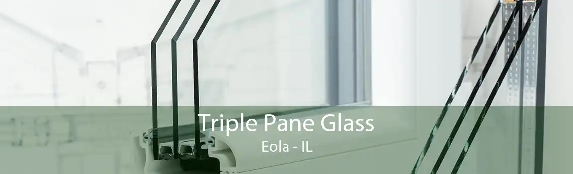 Triple Pane Glass Eola - IL