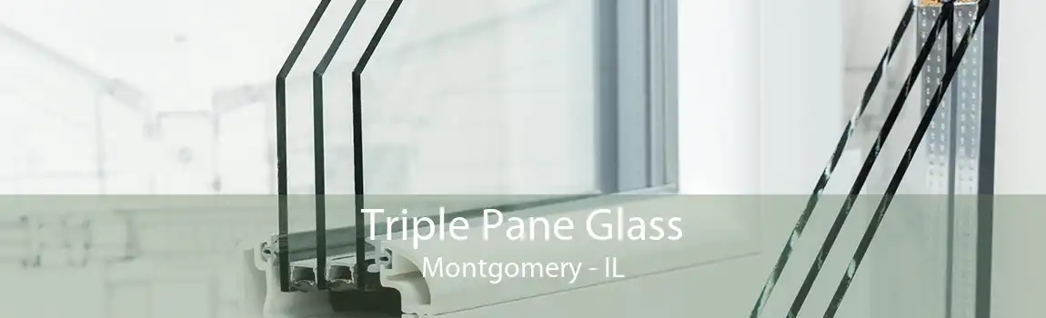 Triple Pane Glass Montgomery - IL