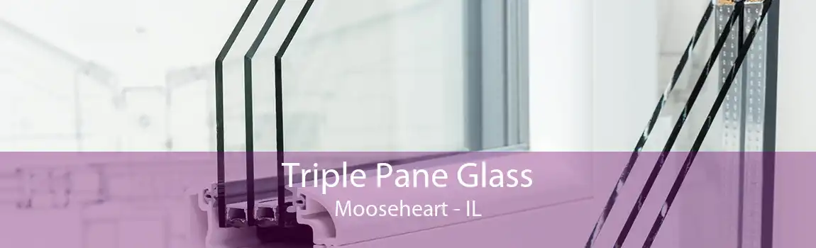 Triple Pane Glass Mooseheart - IL