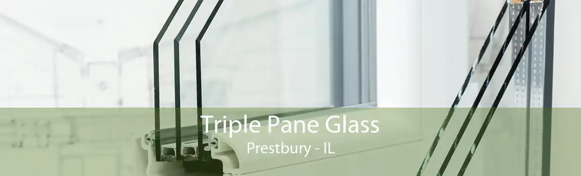 Triple Pane Glass Prestbury - IL