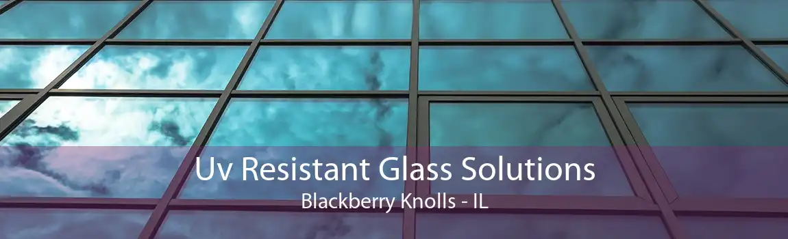 Uv Resistant Glass Solutions Blackberry Knolls - IL