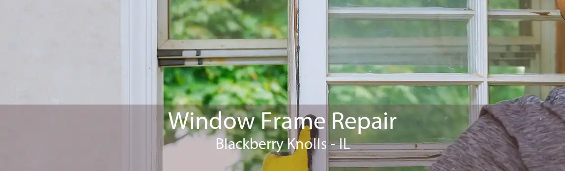 Window Frame Repair Blackberry Knolls - IL