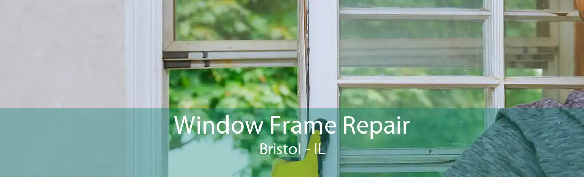 Window Frame Repair Bristol - IL