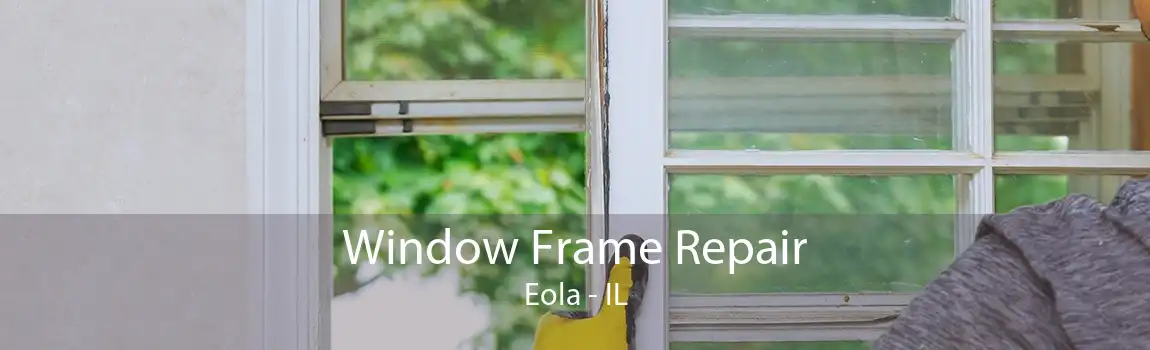 Window Frame Repair Eola - IL