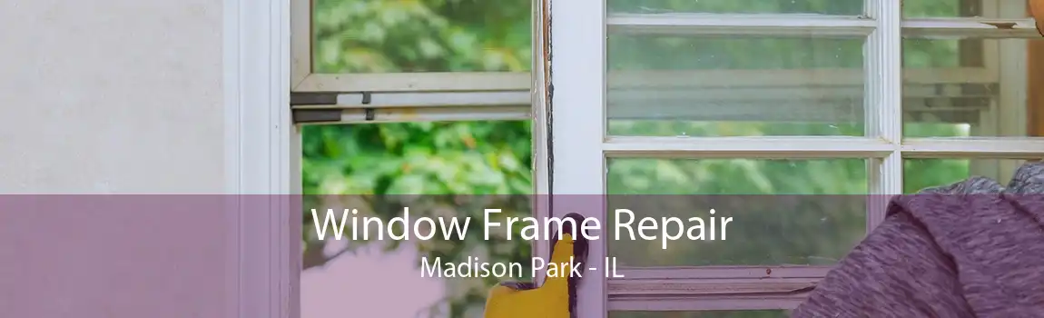 Window Frame Repair Madison Park - IL