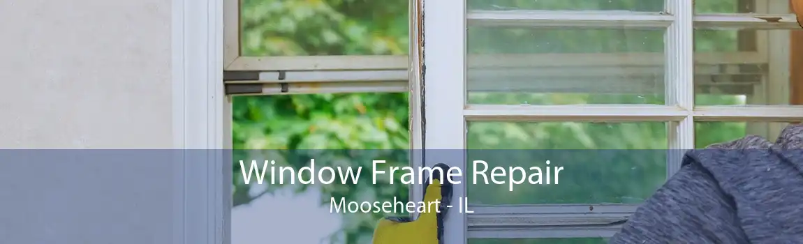 Window Frame Repair Mooseheart - IL