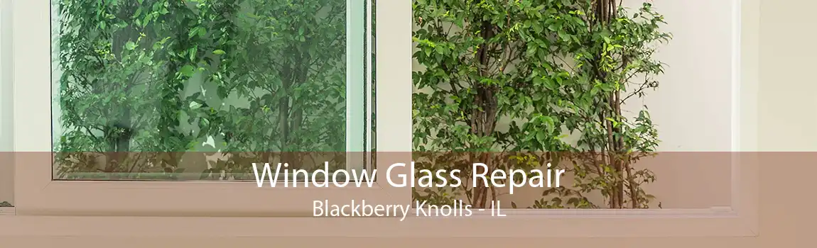 Window Glass Repair Blackberry Knolls - IL