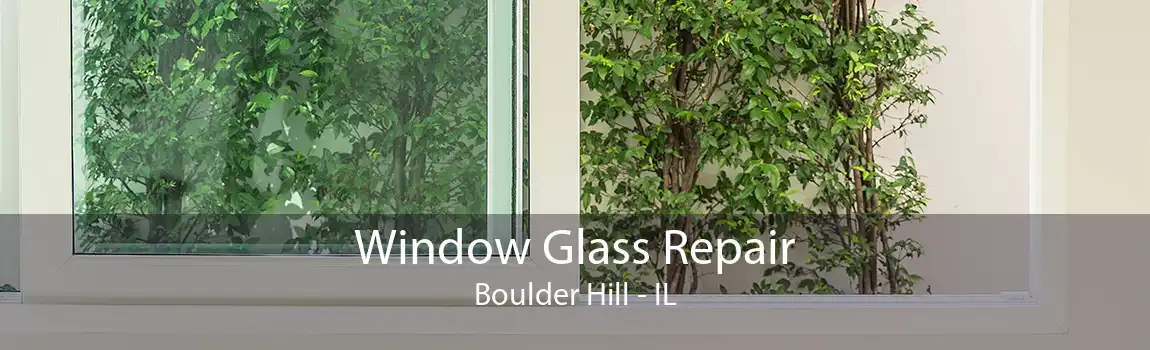 Window Glass Repair Boulder Hill - IL