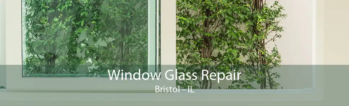 Window Glass Repair Bristol - IL