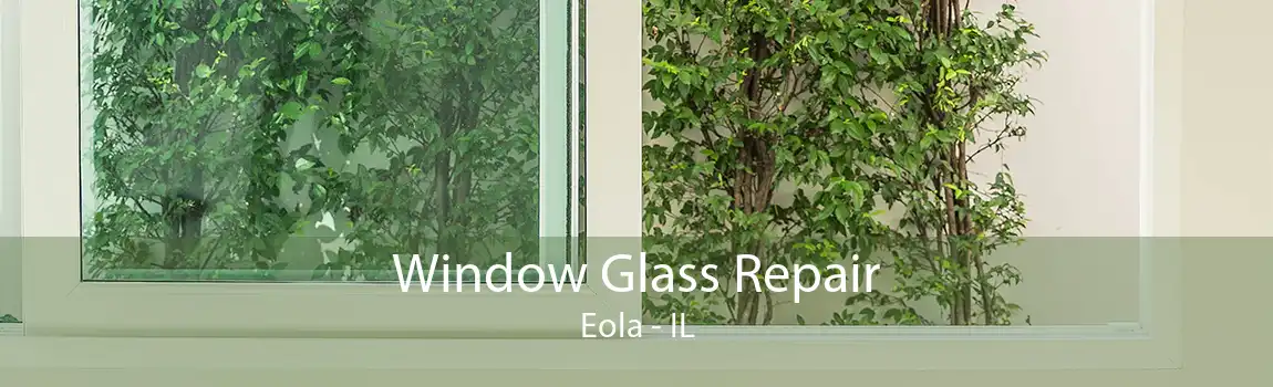 Window Glass Repair Eola - IL