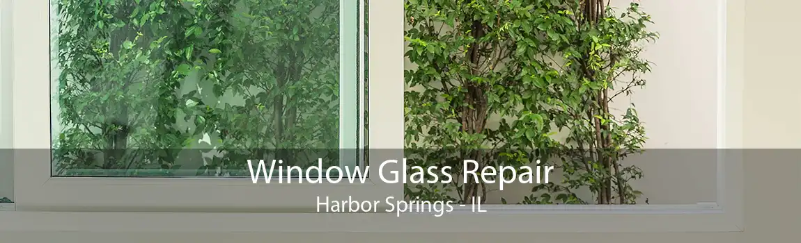 Window Glass Repair Harbor Springs - IL